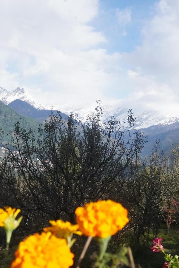 Himalayan Woods Cottage Manāli Dış mekan fotoğraf